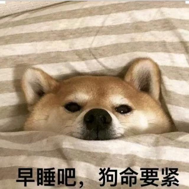 老实人小张