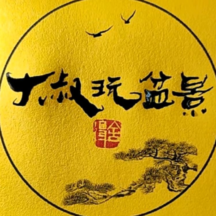 大叔玩盆景