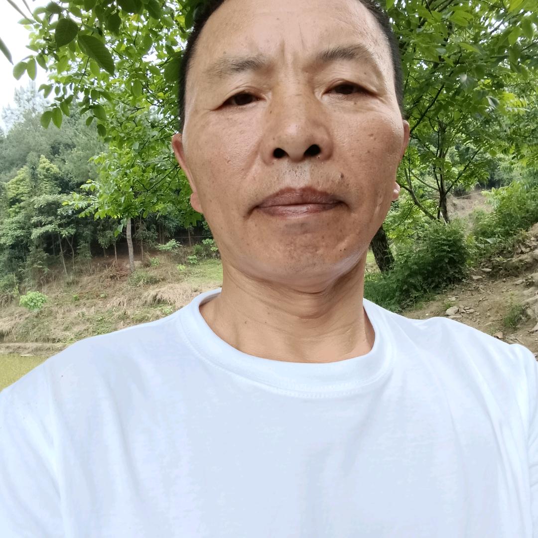 伍二哥