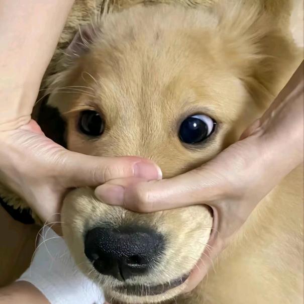 你胆子真大