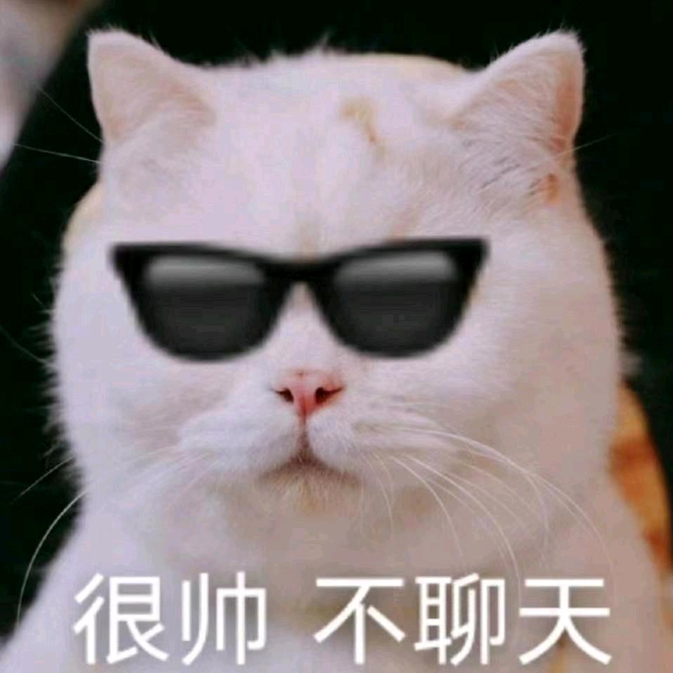 馒头猫人