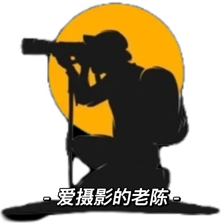 爱摄影的小白