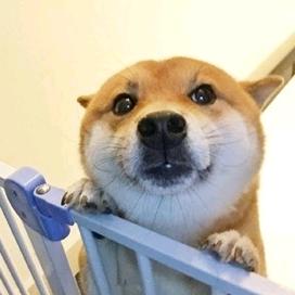 秋雨