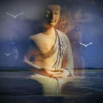 禅净🙏🏼