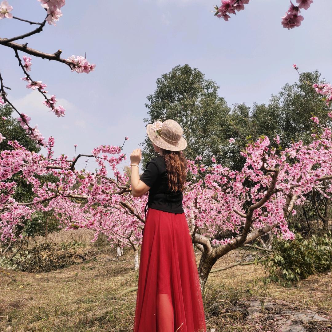 丽丽姐🍃🌺