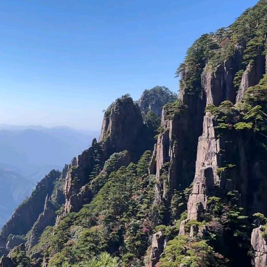岩石悠然自得