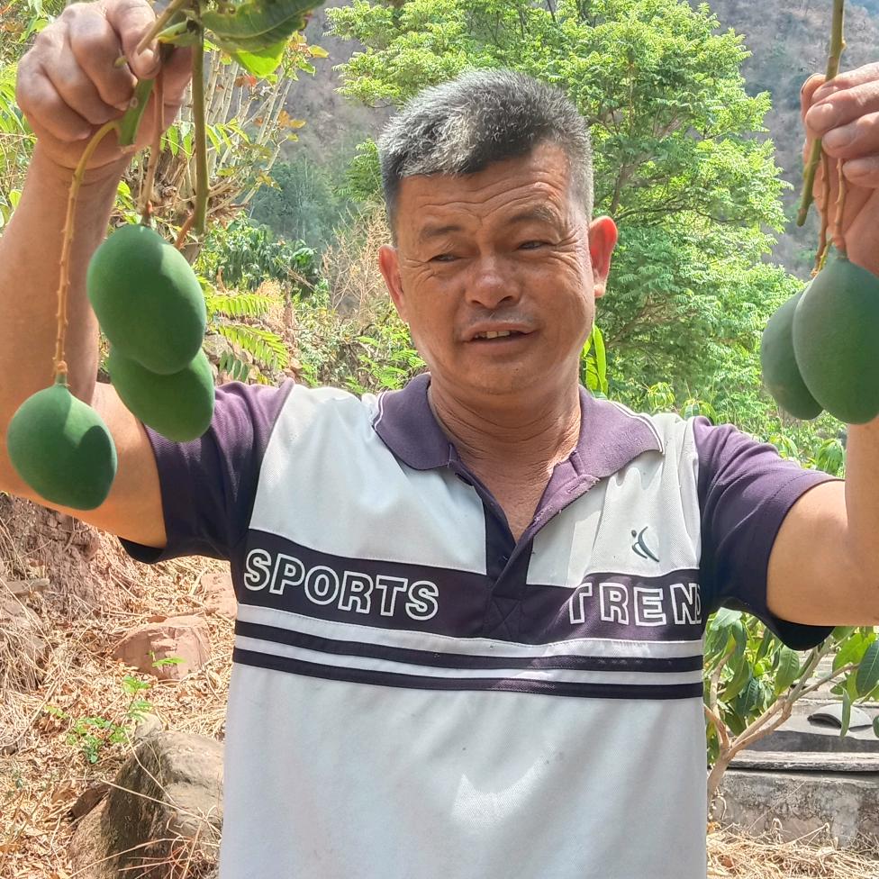 芒果总管