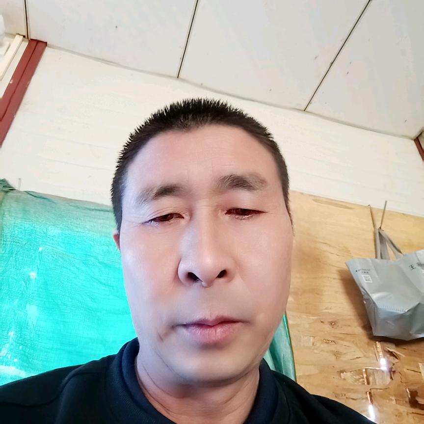 流浪哥