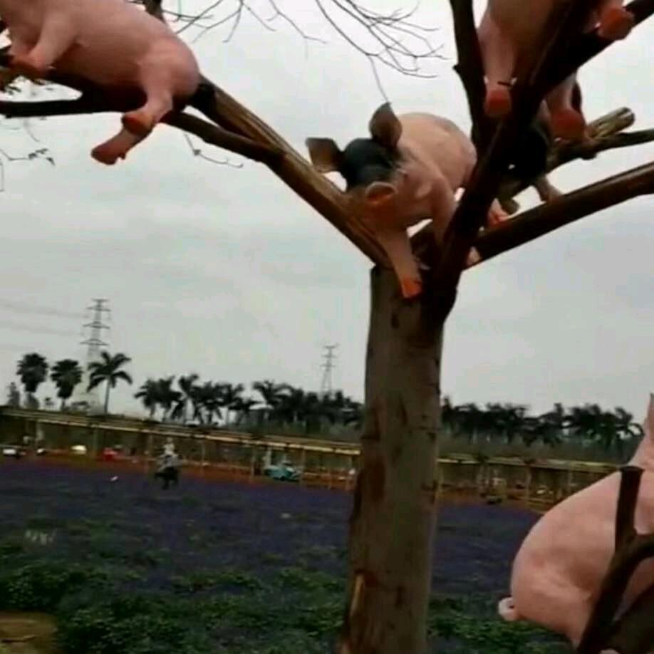小情绪😄😄
