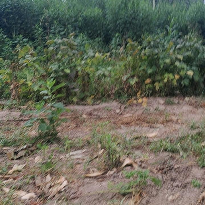回收烫金费料