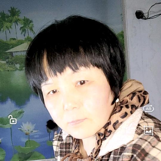 云上雾下