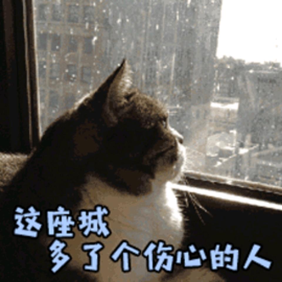 酸奶小说