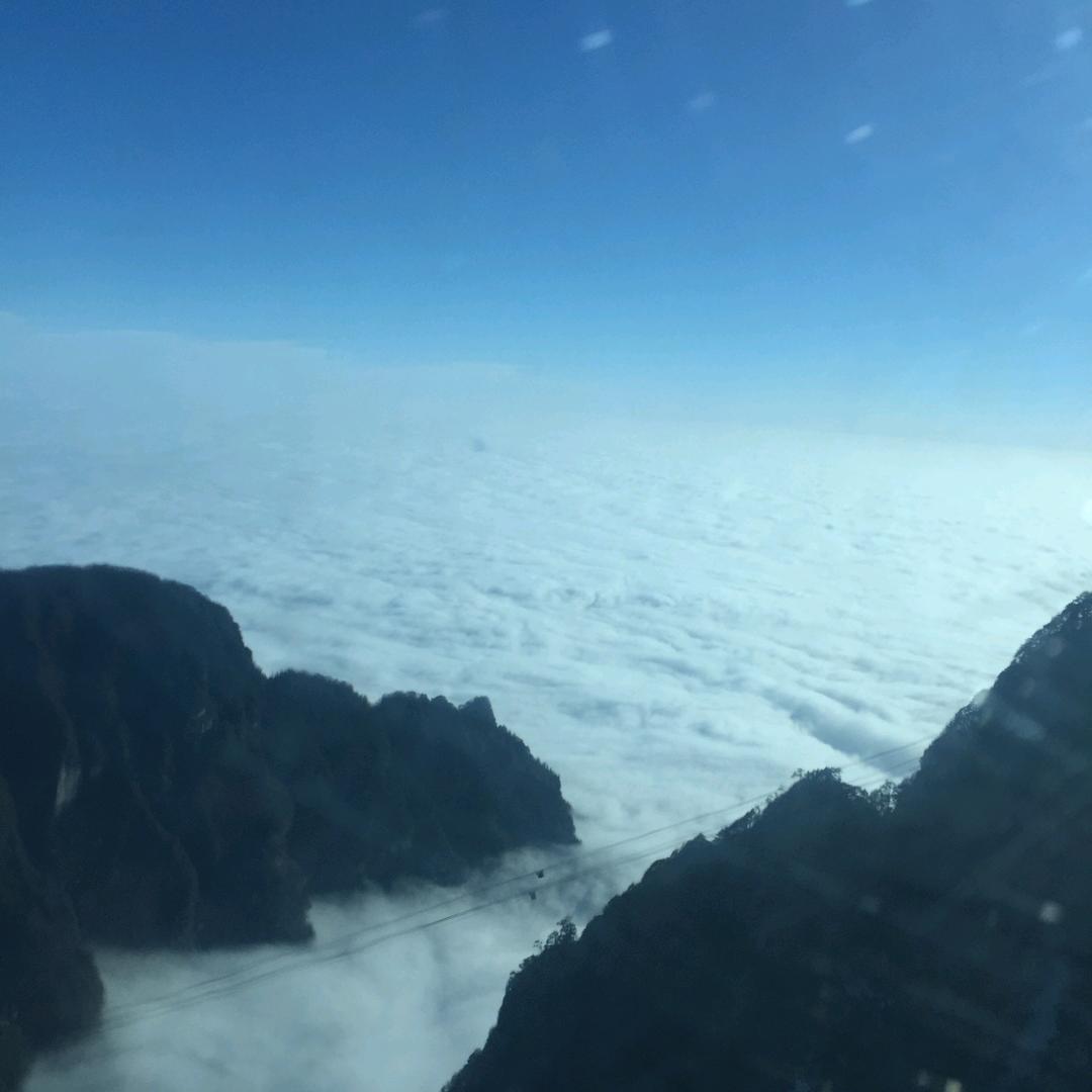 编号9527