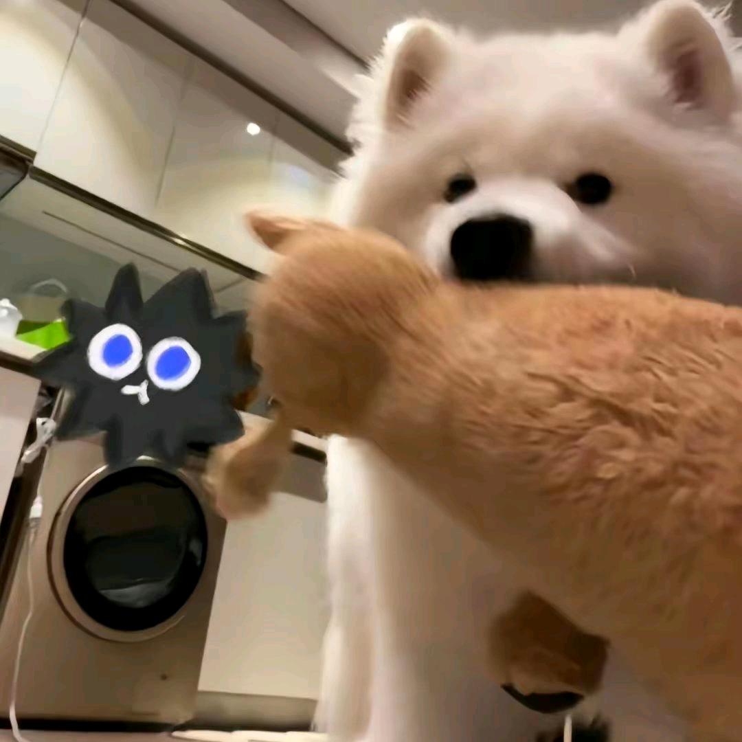 阿七