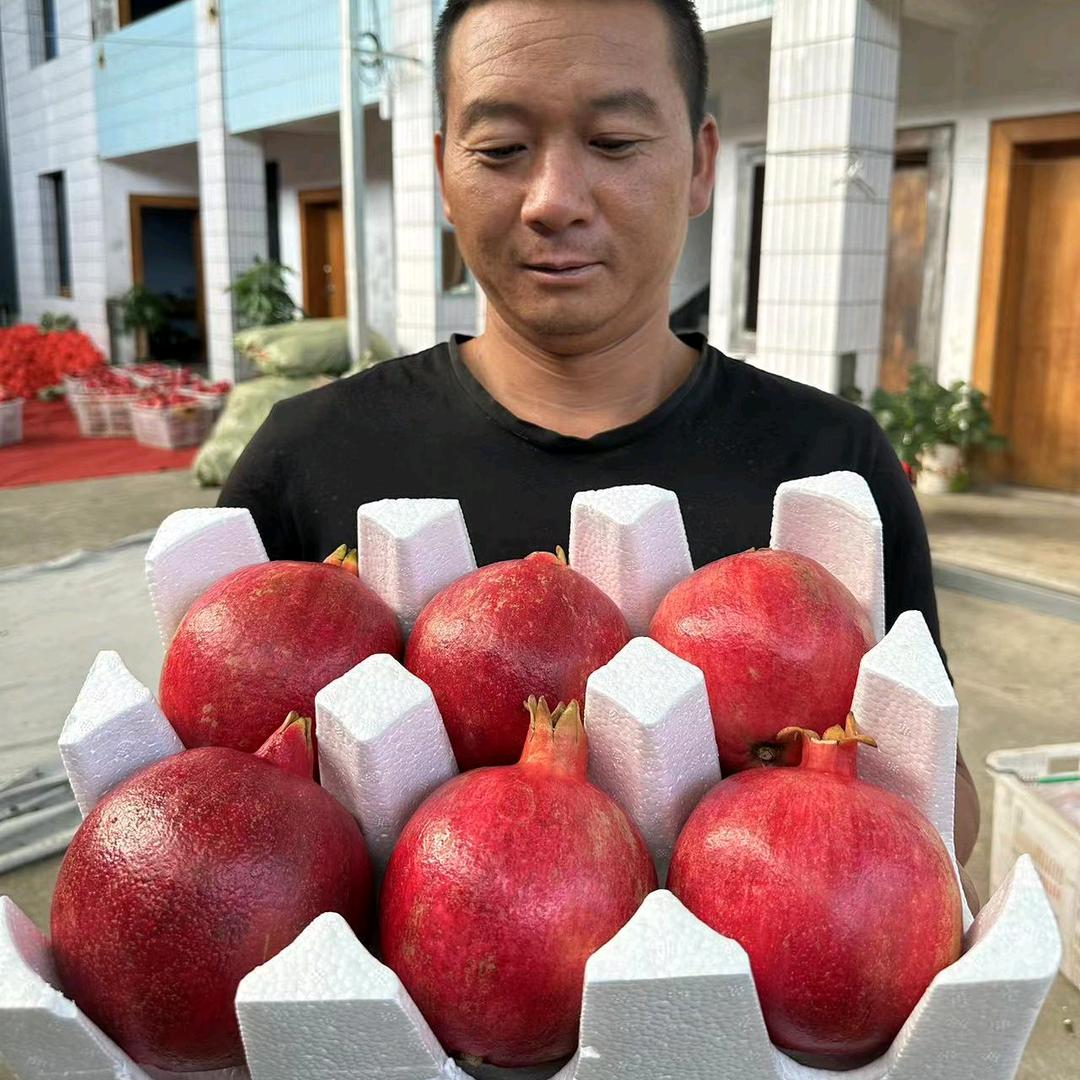 鲜果树