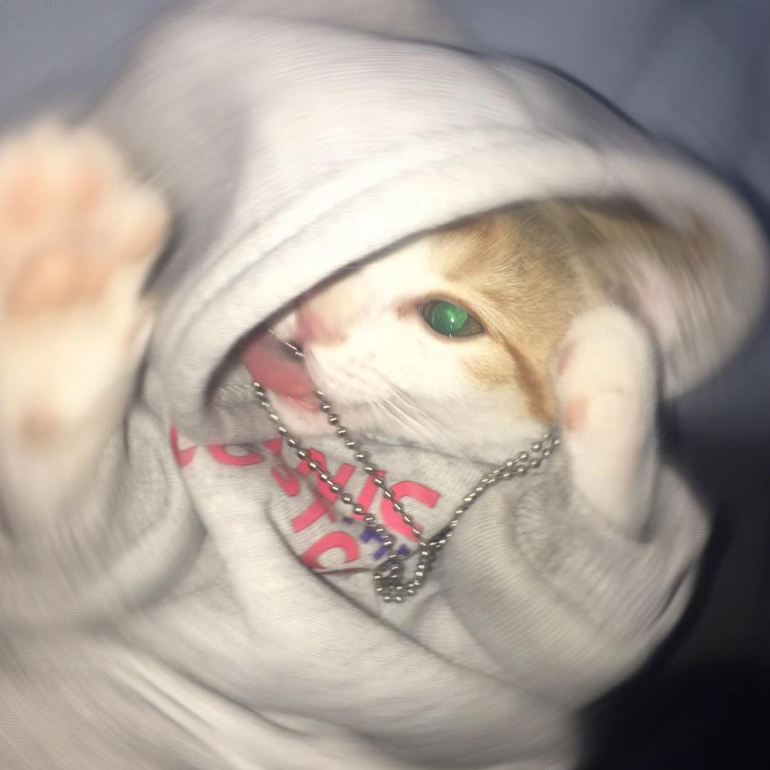 想困告💤