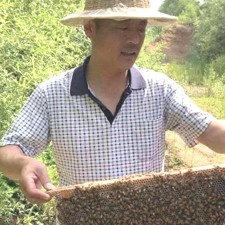 东子小蓝桥chy