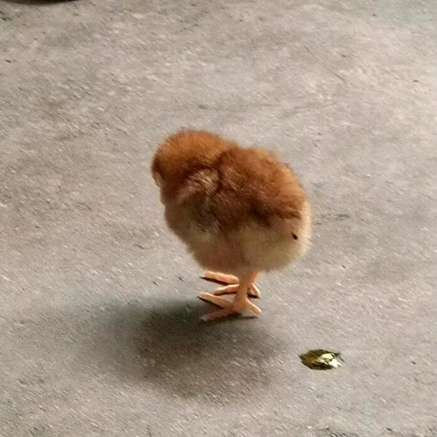 取名真不难