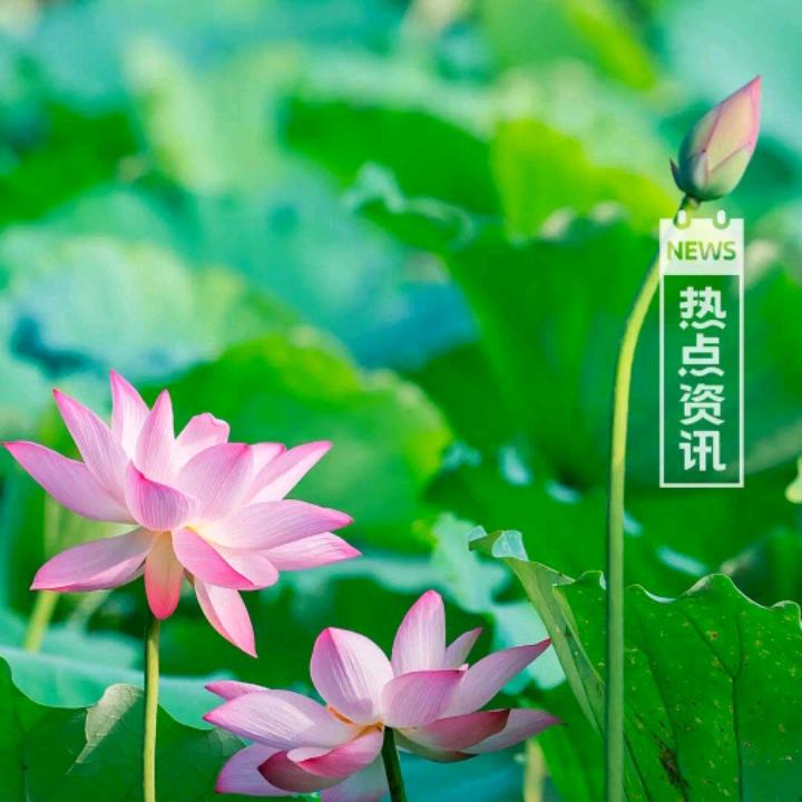 善因结善缘