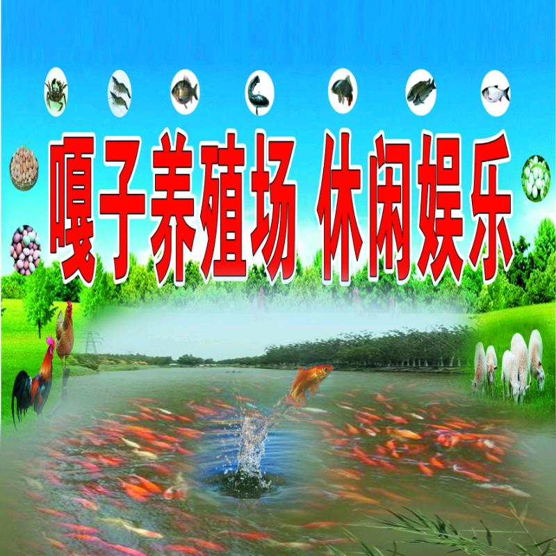 嘎子养殖场$$