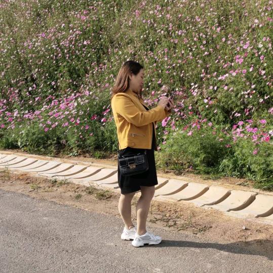 四丫头