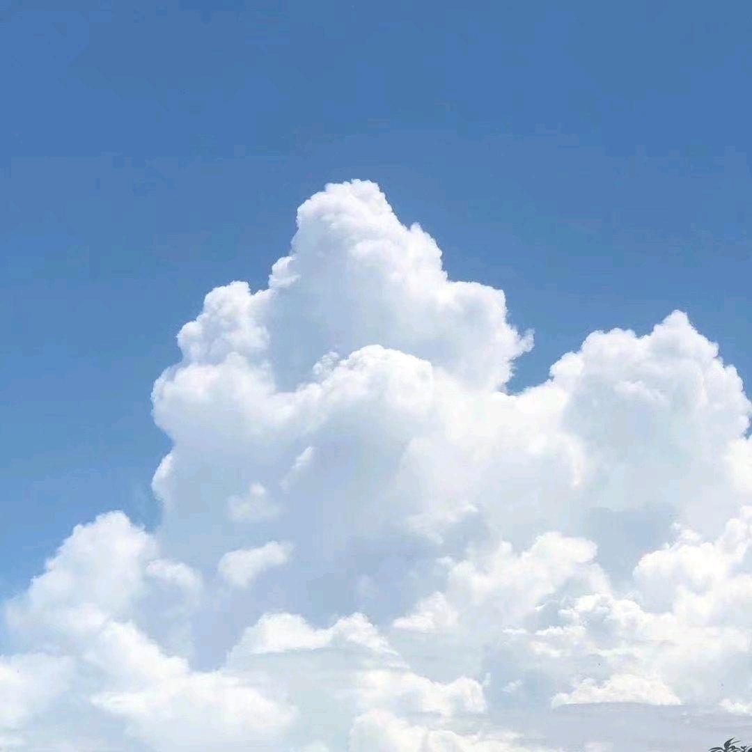 锝舰堂鼻炎馆 蔡甸新福路建行旁