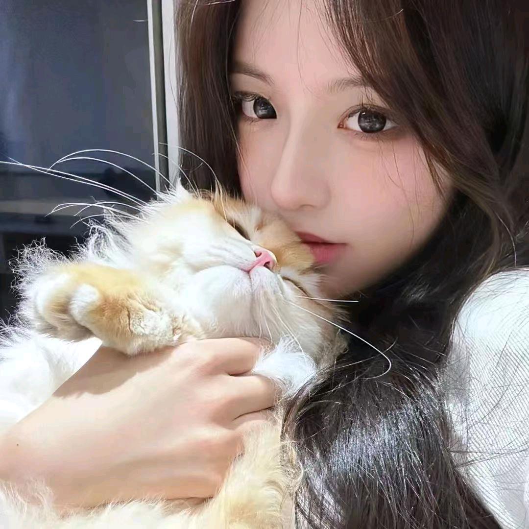 潇宝