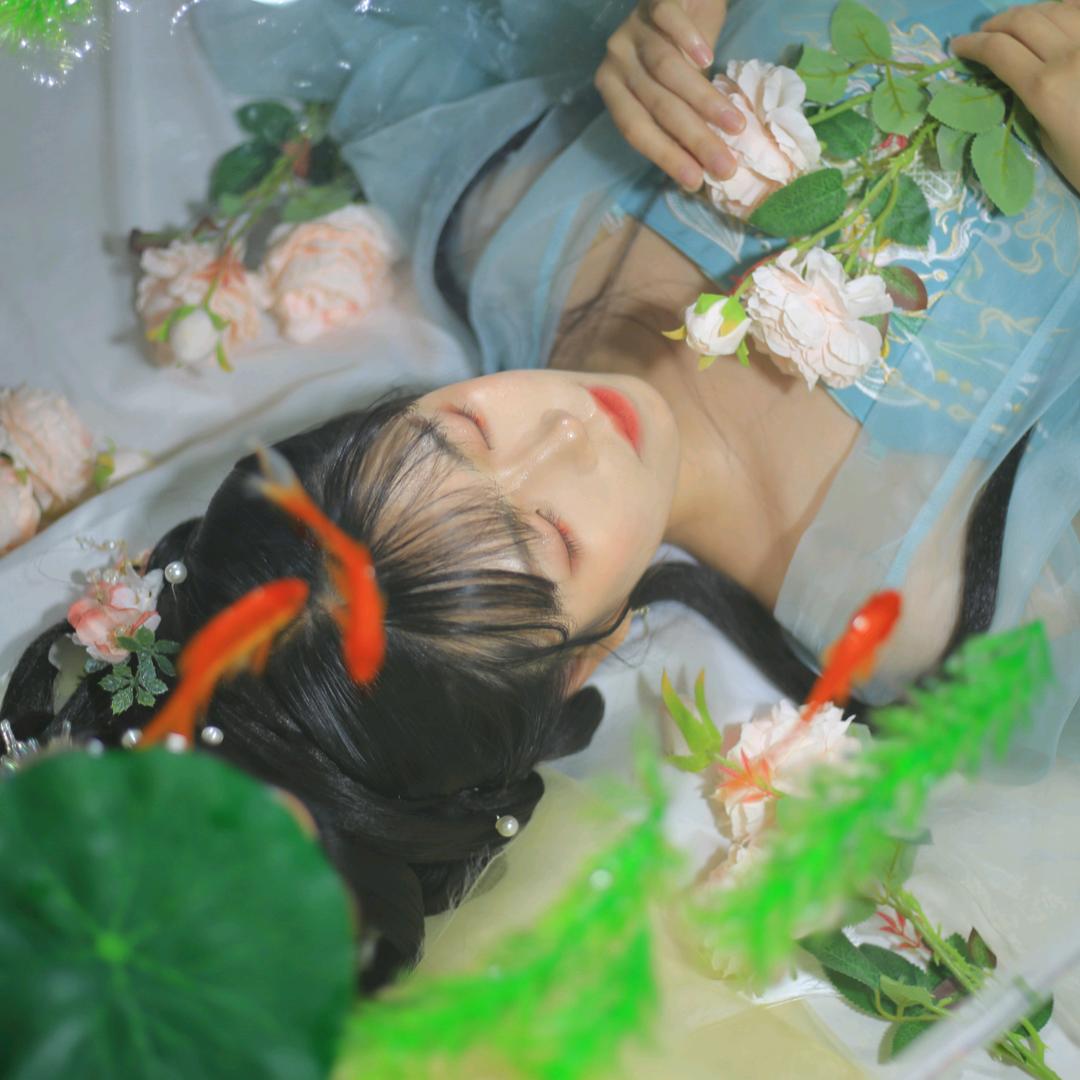 木止