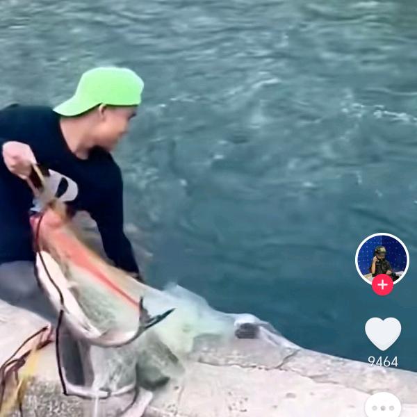 蓝天雄鹰