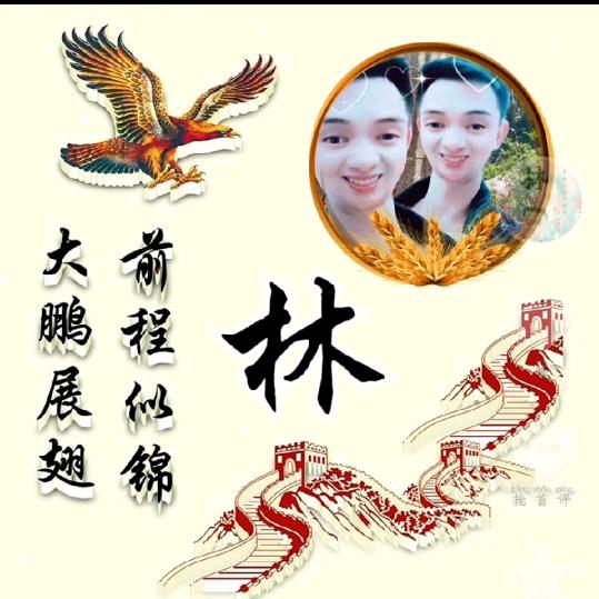往事随风林鹏🐲