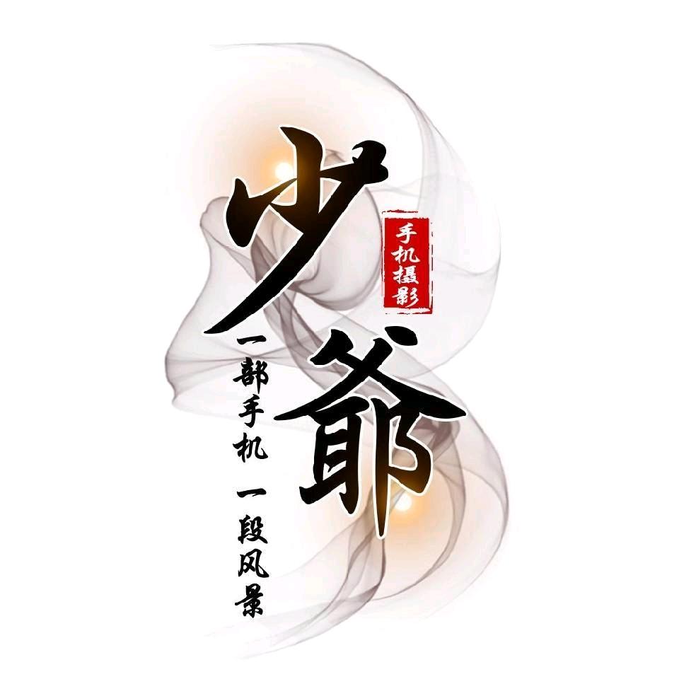 少爺（手机摄影）