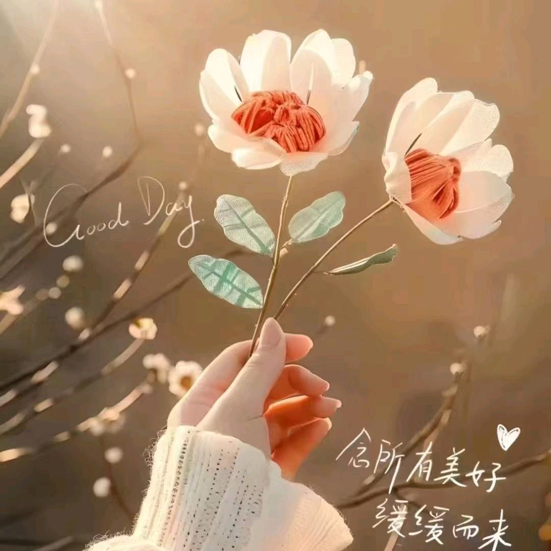 木水年华_第九个葫芦娃