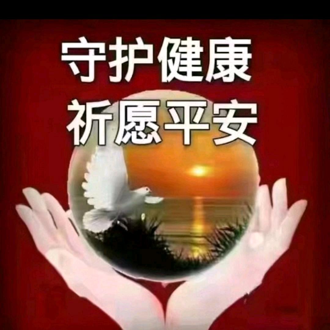 🔥🔥刘哥🔥🔥