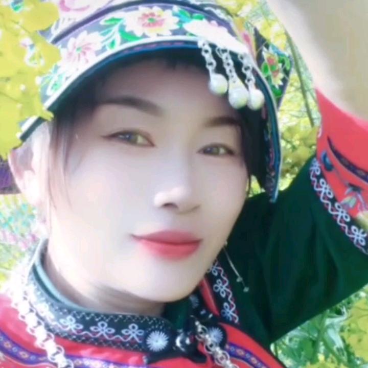 落地de枫叶