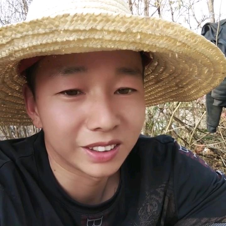 农村养殖日常