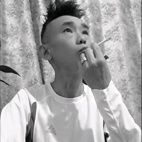 蝙蝠探案