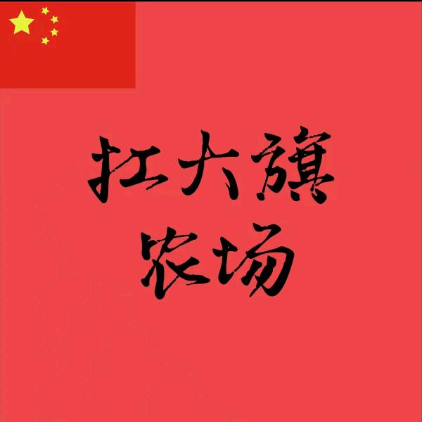 🇨🇳一目了然🇨🇳