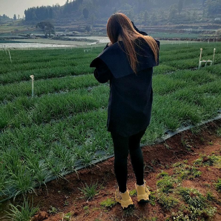 蒋二娃