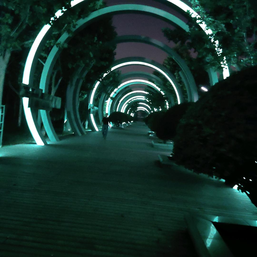 小杨。