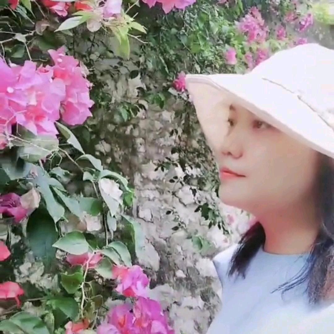 半壺紗
