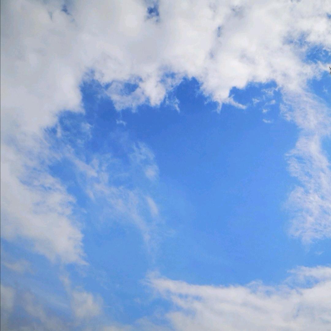 阳光空气与你