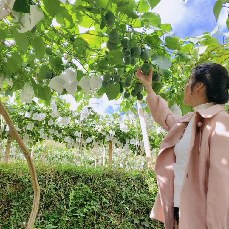 小🍊故事