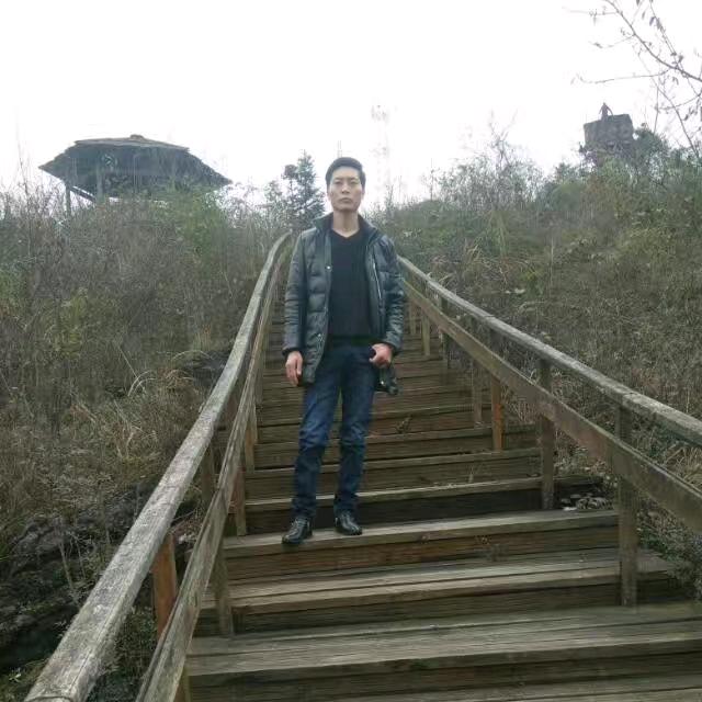 陪你走天下