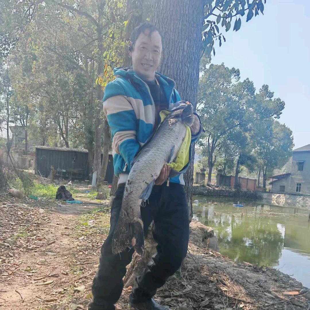冰翠巧缘红直播不定时