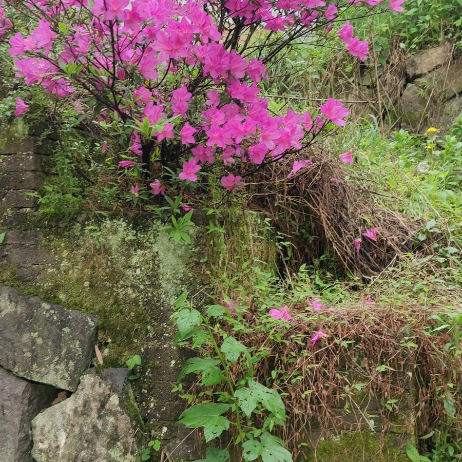 南阳一哥