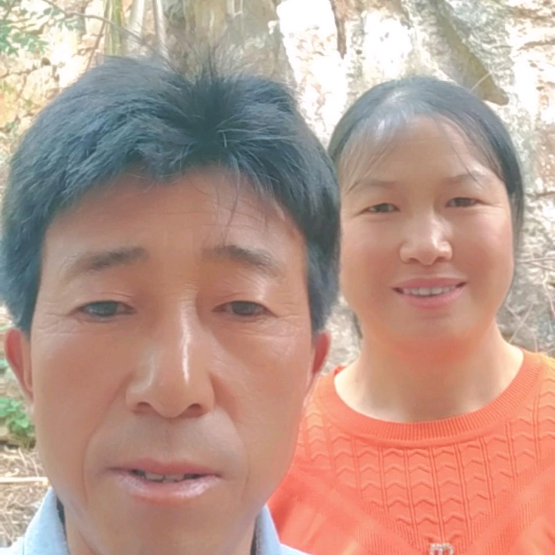 施树稳