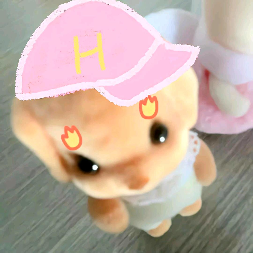 板栗