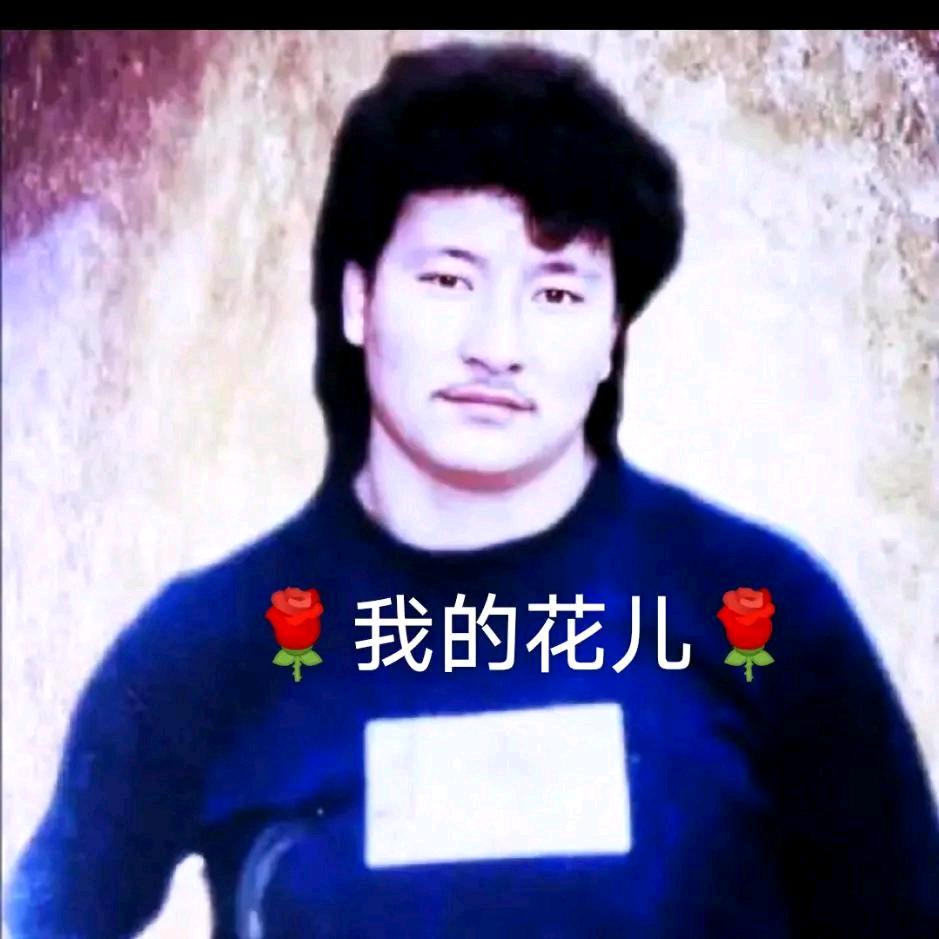 🌹我的花儿🌹