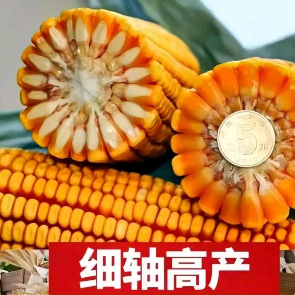 种满仓惠农种业