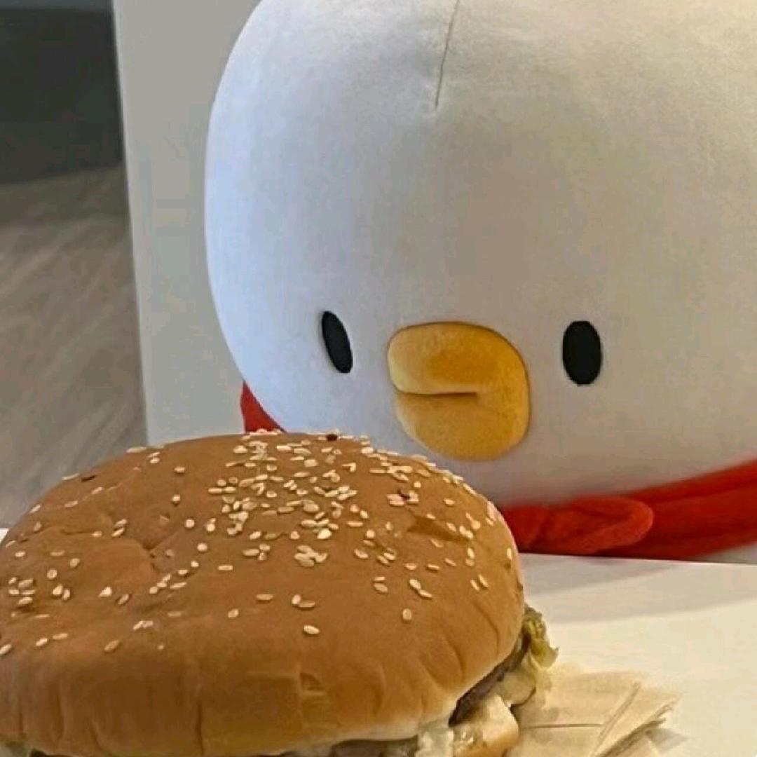沫白以贤